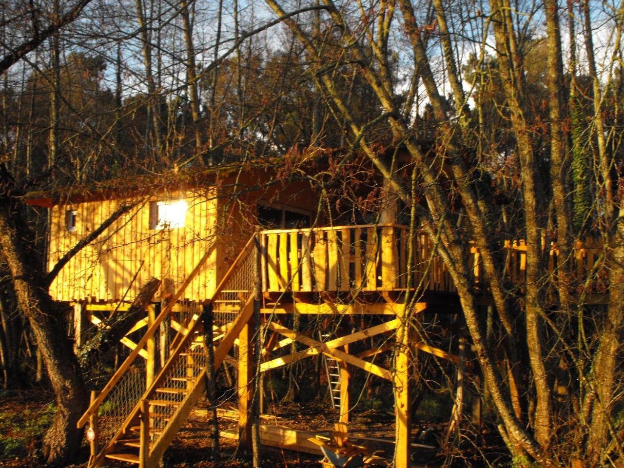 Cabane Des Cerfs Allons  Exteriér fotografie